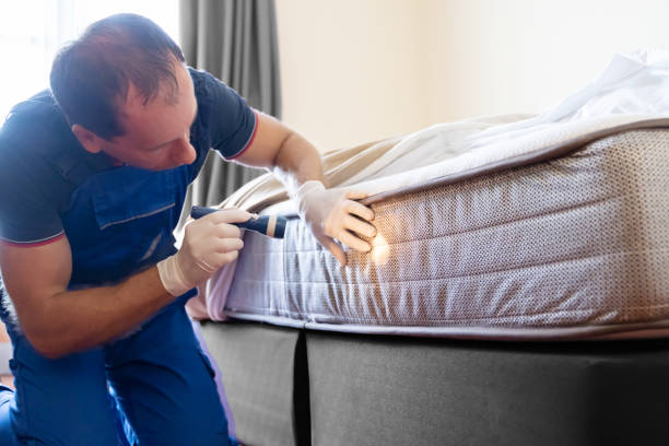 Best Fumigation Services  in Redmond, WA